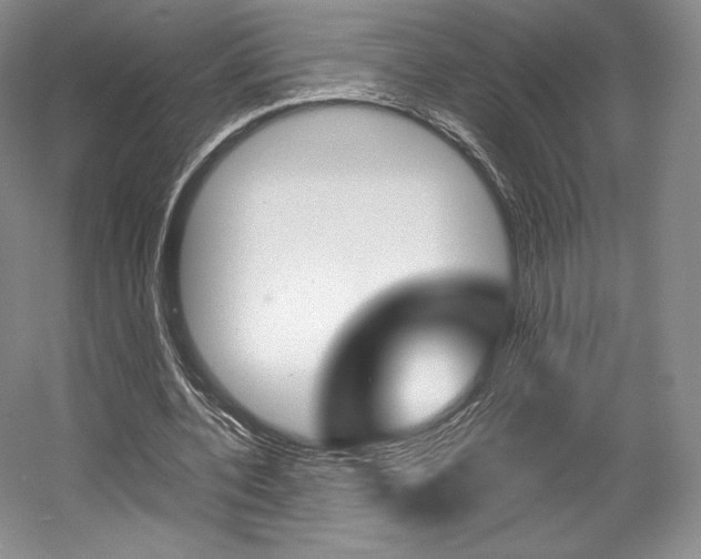 X0000056020532200508190922