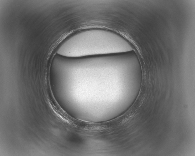 X0000056020533200508190922