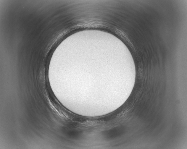 X0000056020534200508190922
