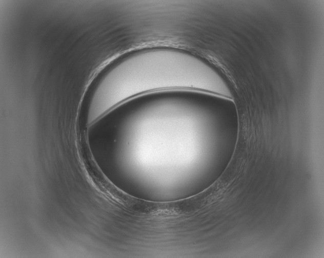 X0000056020536200508190923