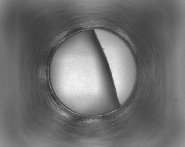 X0000056020537200508190923
