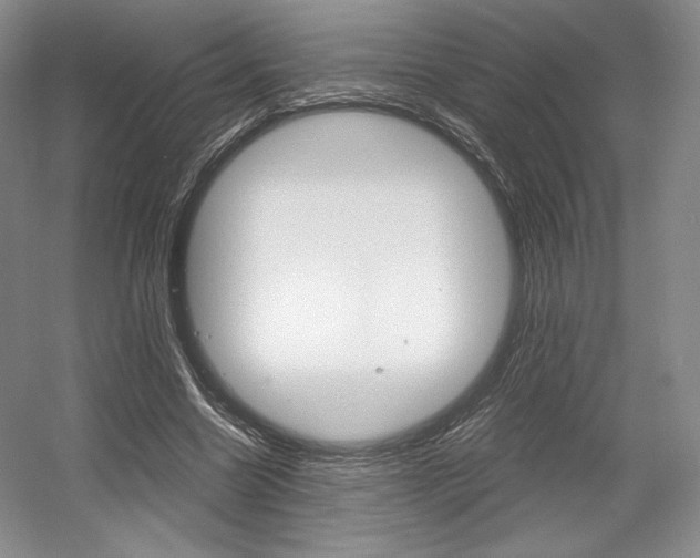 X0000056020538200508190923