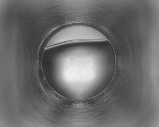X0000056020540200508190923