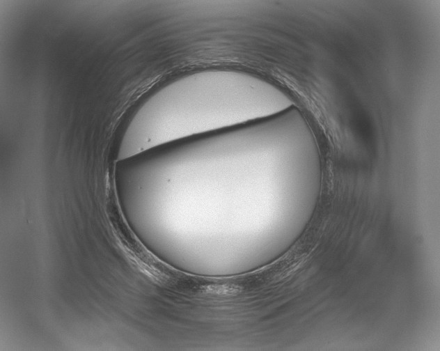 X0000056020541200508190923