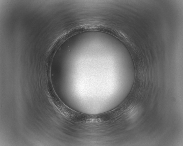 X0000056020543200508190923