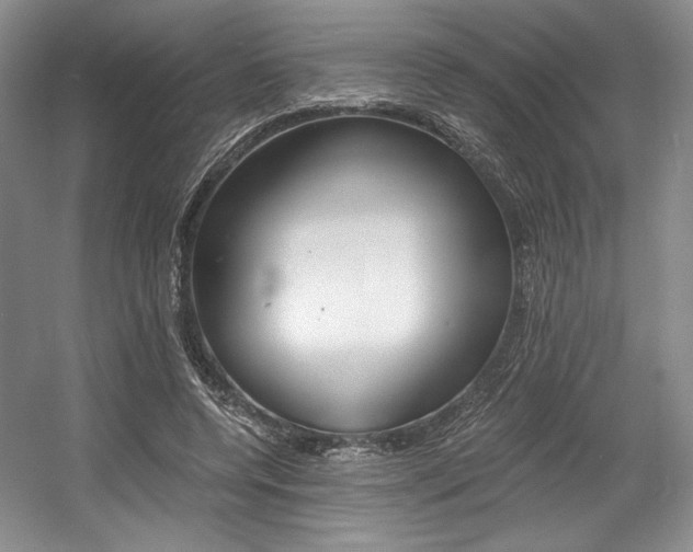 X0000056020544200508190923