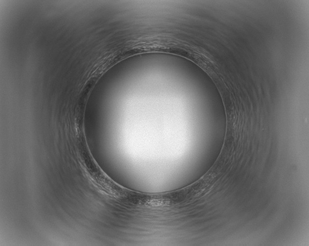 X0000056020546200508190923
