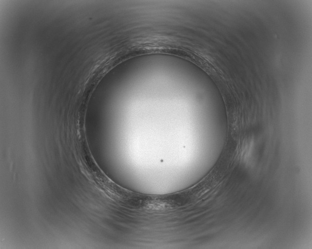 X0000056020547200508190923