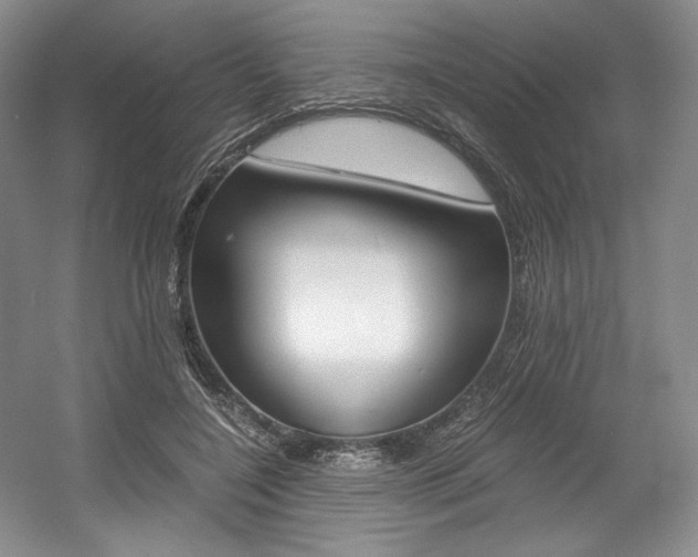 X0000056020548200508190923