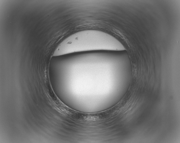 X0000056020549200508190923