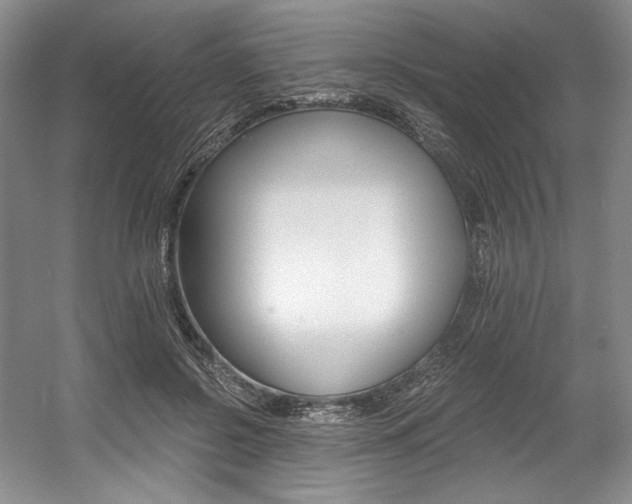 X0000056020550200508190923