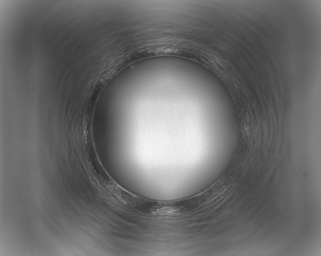 X0000056020551200508190923