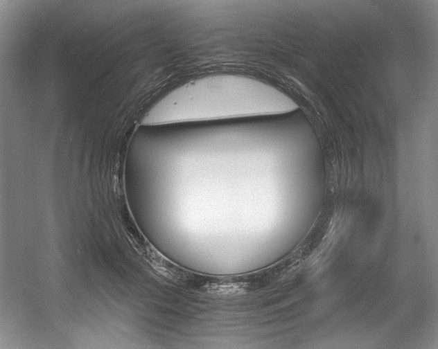 X0000056020553200508190923