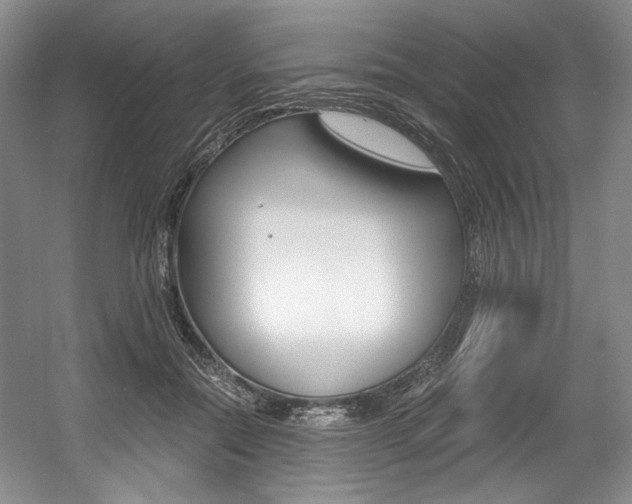 X0000056020554200508190923