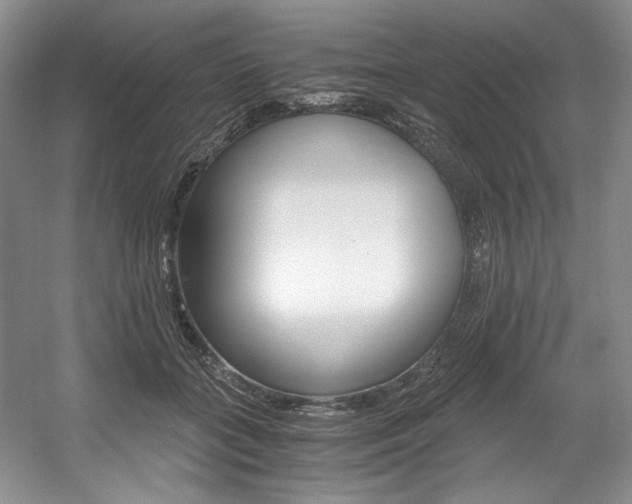 X0000056020555200508190923