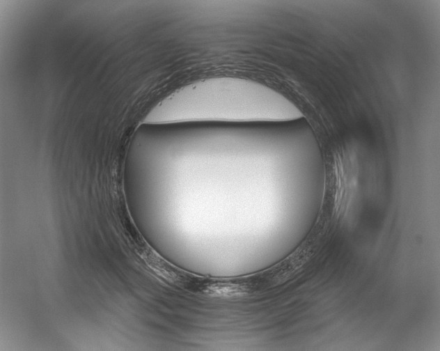 X0000056020557200508190923