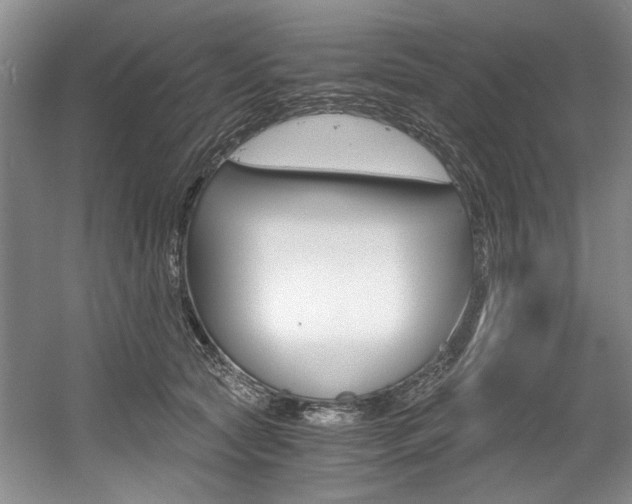 X0000056020561200508190923