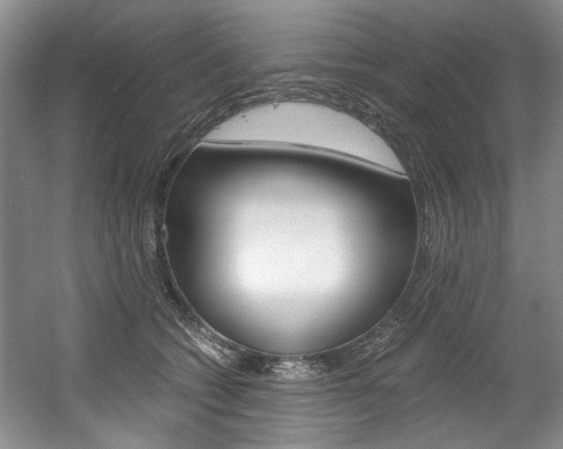 X0000056020562200508190923