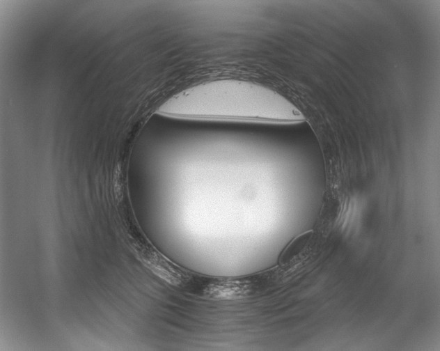 X0000056020563200508190923