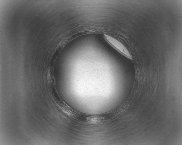 X0000056020564200508190923
