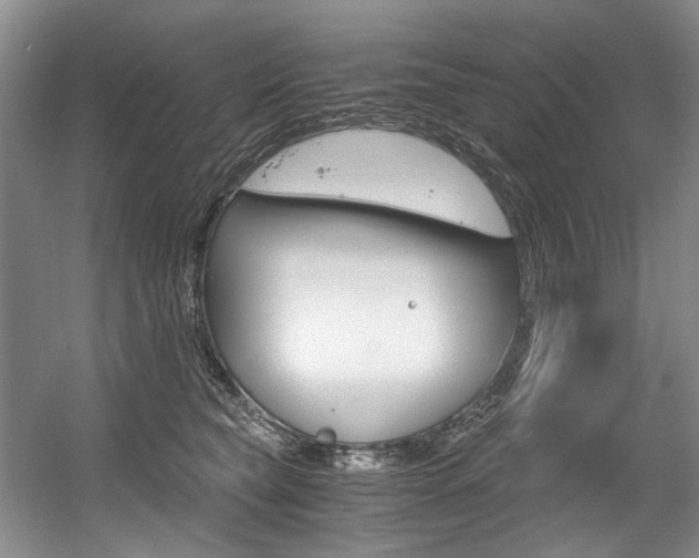 X0000056020565200508190923