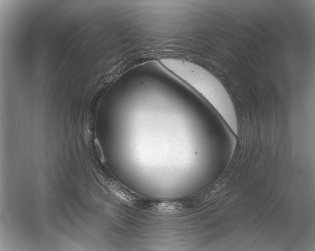 X0000056020566200508190923