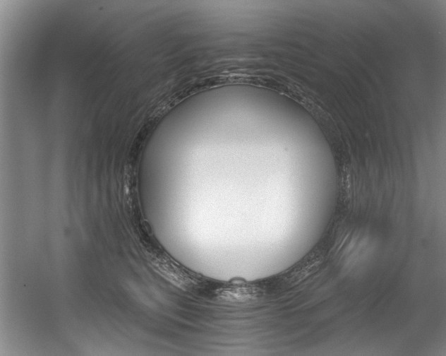 X0000056020567200508190923