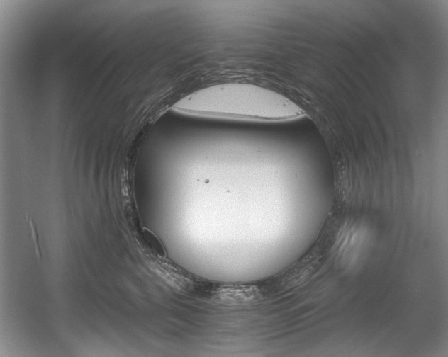 X0000056020571200508190923