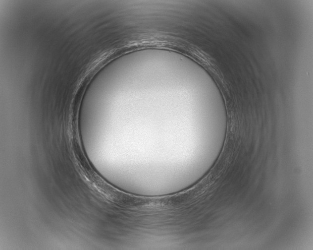 X0000056020578200508190922