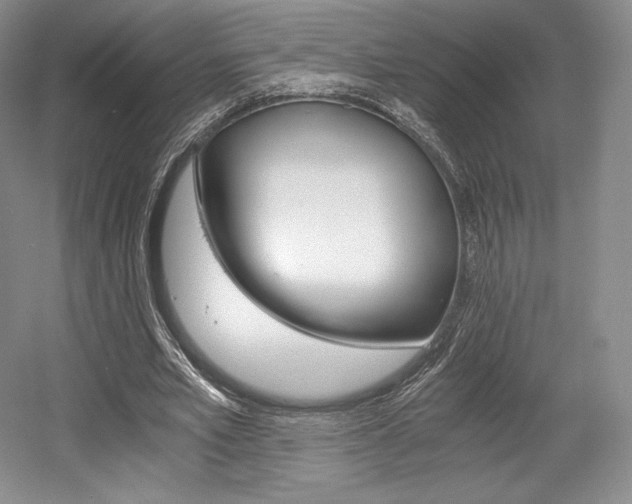 X0000056020581200508190922