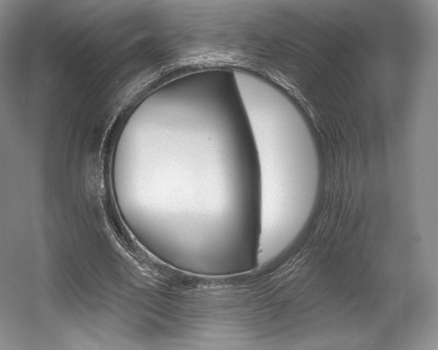 X0000056020582200508190922