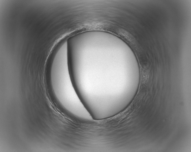 X0000056020583200508190922