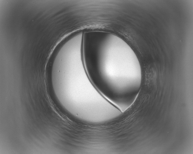 X0000056020584200508190922