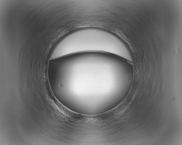 X0000056020585200508190922