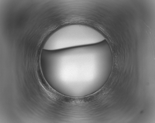 X0000056020586200508190922