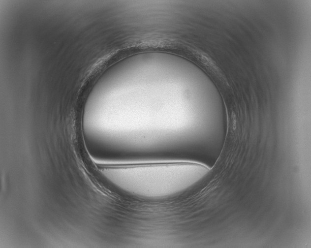 X0000056020588200508190922