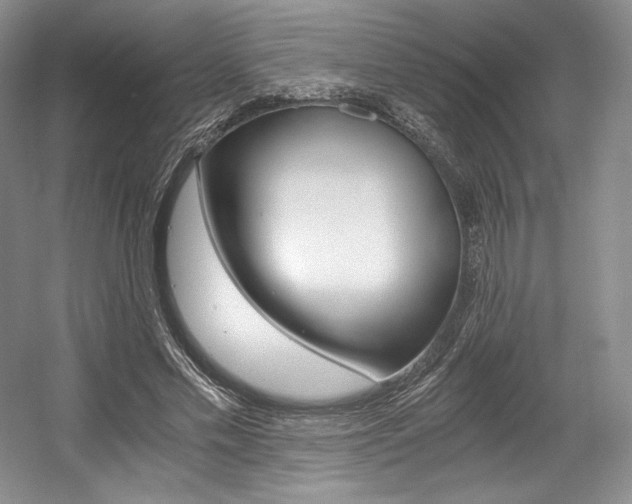 X0000056020589200508190922