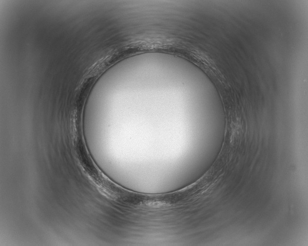 X0000056020590200508190922