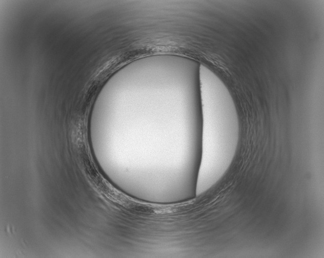 X0000056020591200508190922