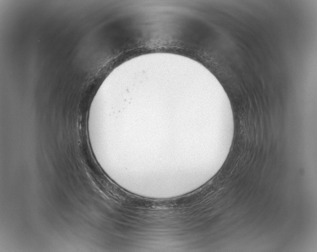 X0000056020592200508190922