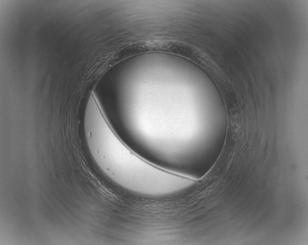 X0000056020593200508190922