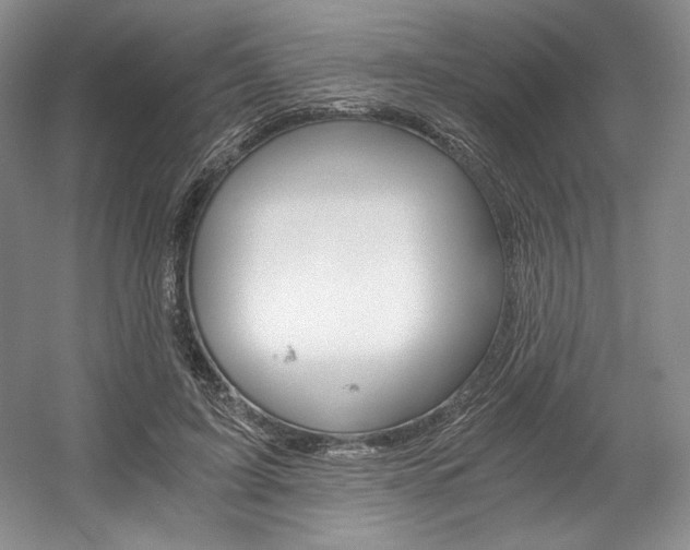 X0000056020595200508190922