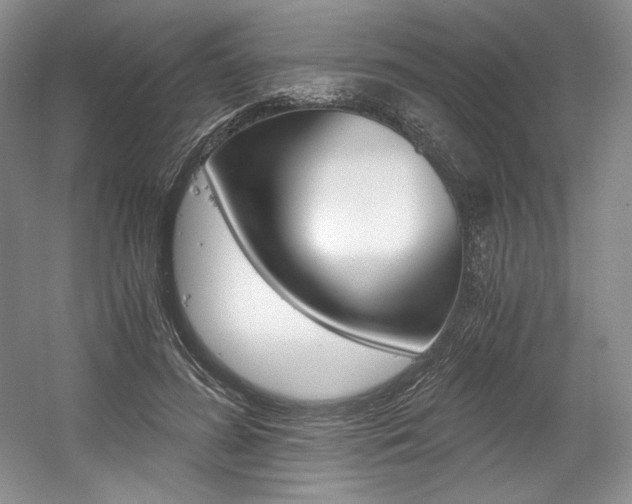 X0000056020596200508190922