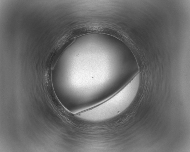 X0000056020597200508190922