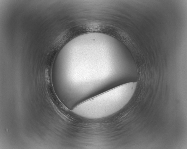 X0000056020598200508190922