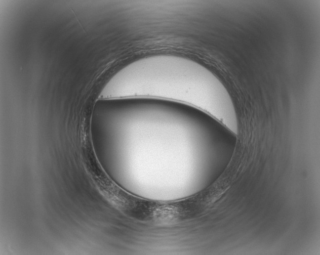 X0000056020599200508190922