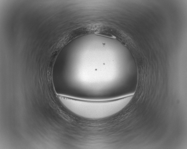 X0000056020601200508190922