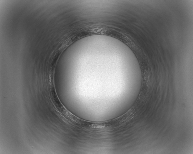 X0000056020602200508190922