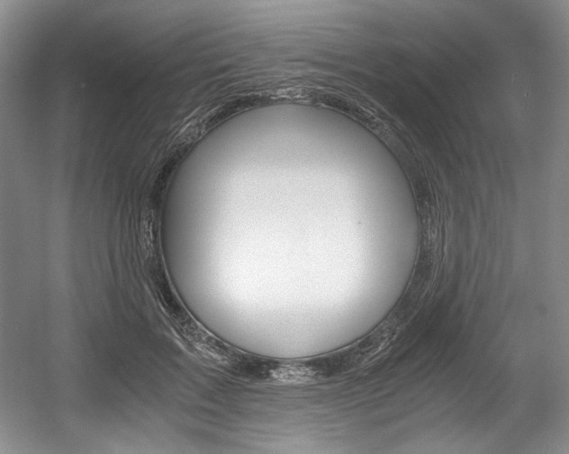 X0000056020603200508190922