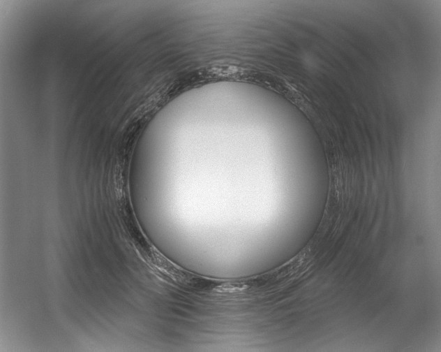 X0000056020606200508190922